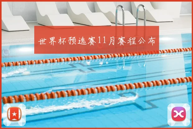 世界杯预选赛11月赛程公布