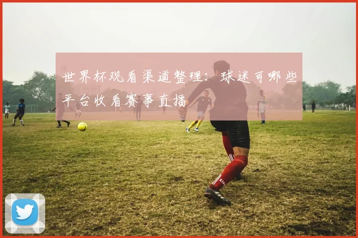 世界杯观看渠道整理：球迷可哪些平台收看赛事直播