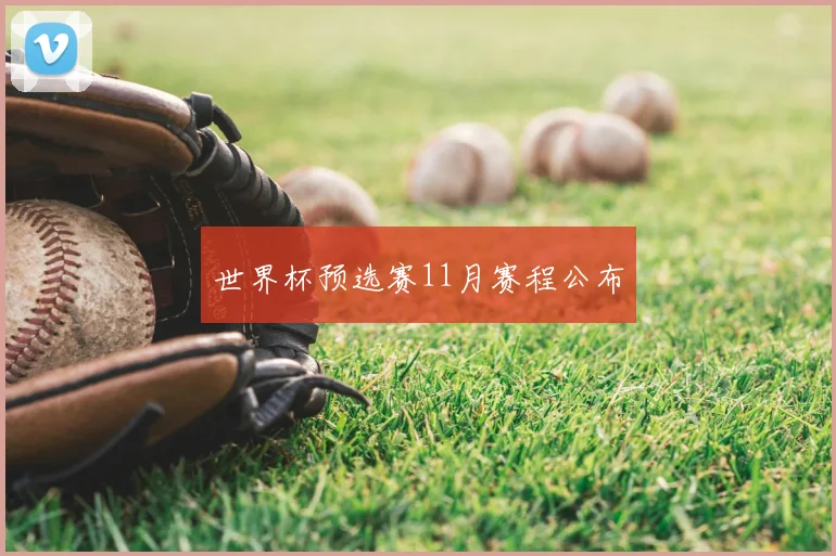 世界杯预选赛11月赛程公布